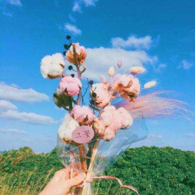 竞彩足球app下载手机版