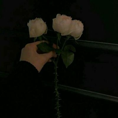 美高梅网址下载手机版截图